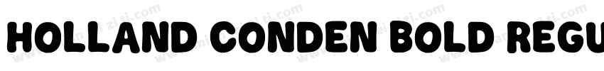 Holland Conden Bold Regular字体转换